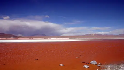 Laguna Colorada. Bolivia Laguna Colorada. Bolivia