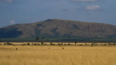 Roraima. Brasil Roraima. Brasil