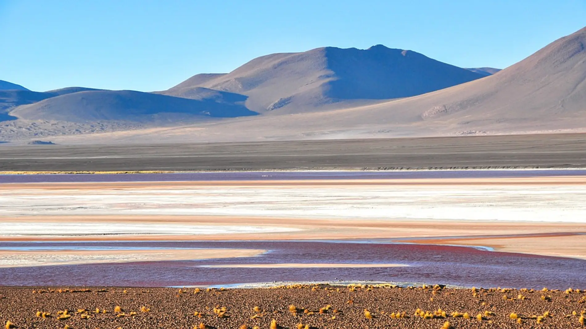 Laguna Colorada, Bolivia