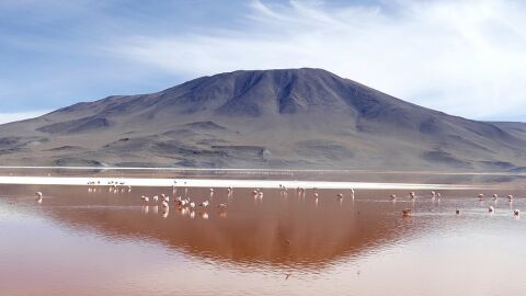 Laguna Colorada. Bolivia