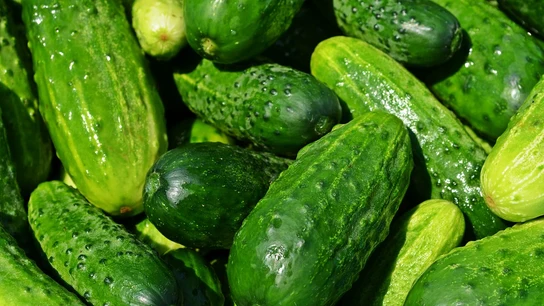 Pepino, lechuga, tomate... estos son los alimentos estrella contra el calor Pepino, lechuga, tomate... estos son los alimentos estrella contra el calor