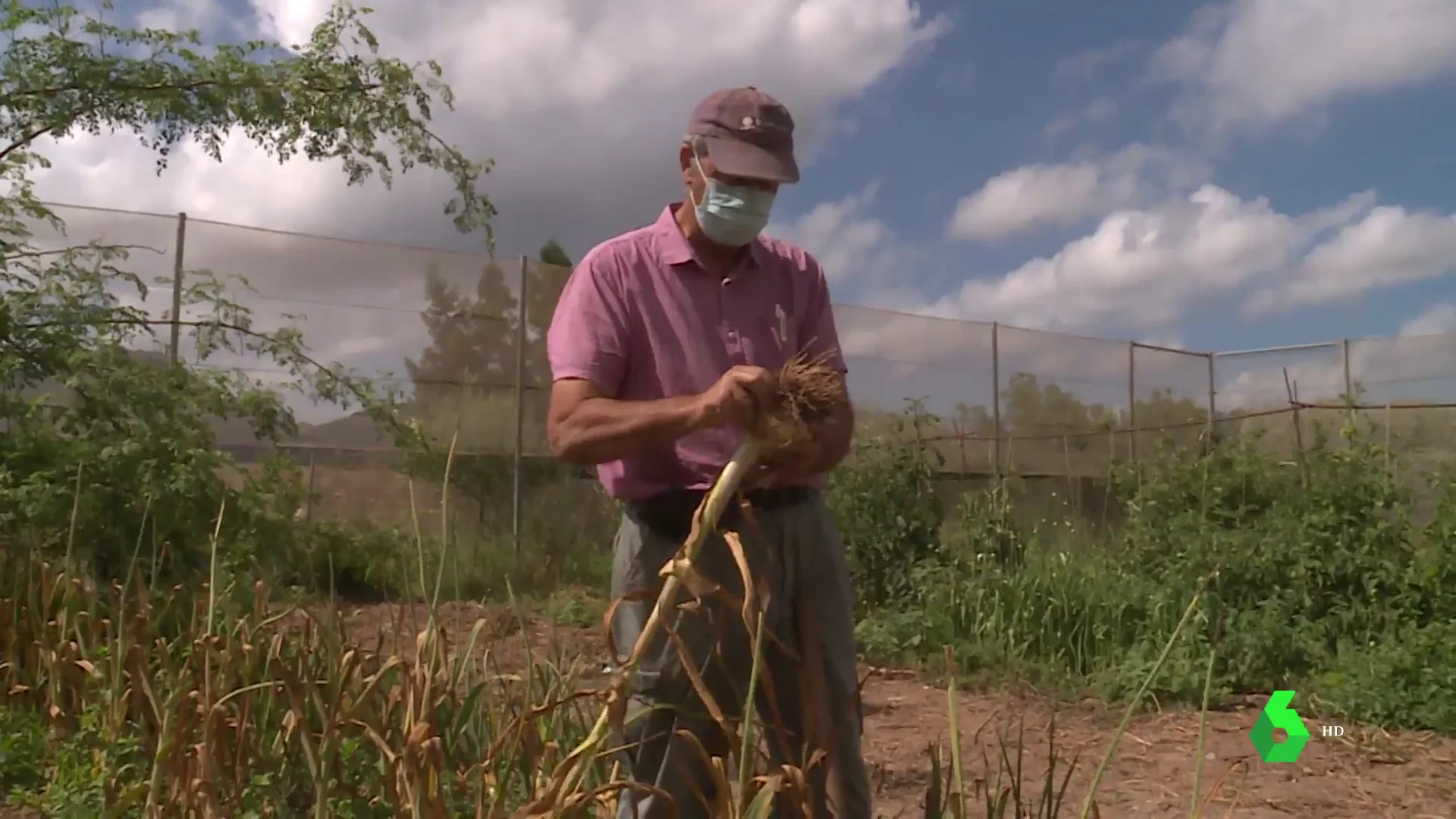 El original proyecto para recuperar una especie culinaria ancestral a punto de desaparecer 