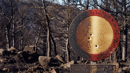 Pinares quemados en la cresta de la sierra del Pico Zapatero, que divide a las dos zonas afectadas por el incendio de Navalacruz (Ávila) Pinares quemados en la cresta de la sierra del Pico Zapatero, que divide a las dos zonas afectadas por el incendio de Navalacruz (Ávila)