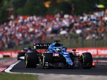 Fernando Alonso