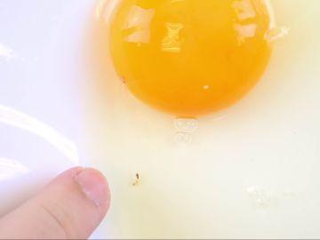 ¿Por qué a veces hay un punto rojo en la yema del huevo?