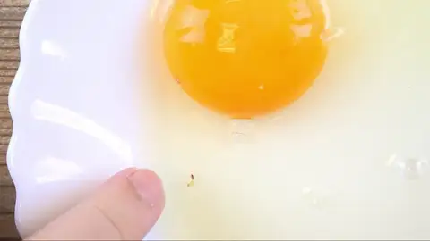 ¿Por qué a veces hay un punto rojo en la yema del huevo? ¿Por qué a veces hay un punto rojo en la yema del huevo?