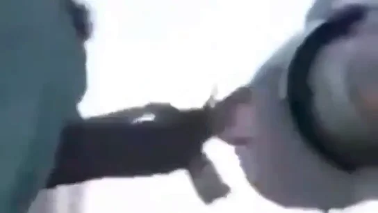imágenes fuselaje imágenes fuselaje
