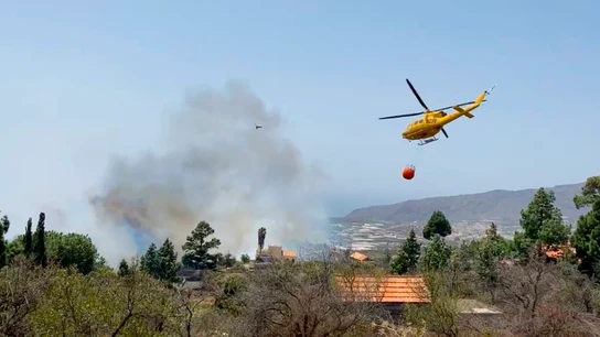 Vista del incendio forestal que se ha declarado este martes en el municipio palmero de El Paso. Vista del incendio forestal que se ha declarado este martes en el municipio palmero de El Paso.
