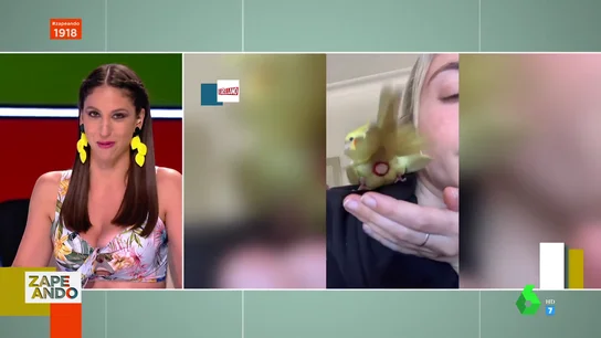 sorprendente maya pixelskaya sorprendente maya pixelskaya