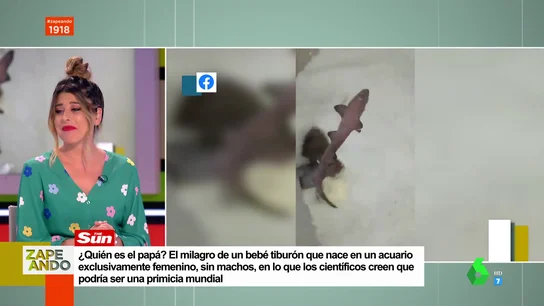 disgusto valeria ros disgusto valeria ros