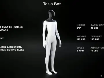 Tesla Bot Tesla Bot