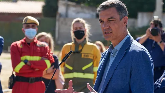 El Gobierno declarará "zonas gravemente afectadas" los territorios arrasados por incendios este verano El Gobierno declarará "zonas gravemente afectadas" los territorios arrasados por incendios este verano