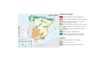 Vegetación potencial de España