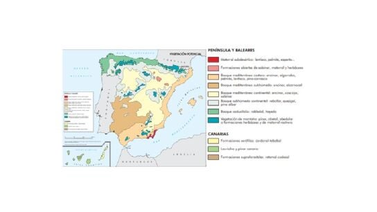 Vegetación potencial de España