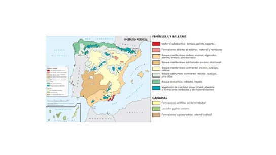 Vegetación potencial de España Vegetación potencial de España