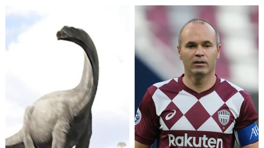 El 'Iniestapodus burgensis' y Andrés Iniesta El 'Iniestapodus burgensis' y Andrés Iniesta