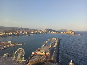 Águilas Águilas