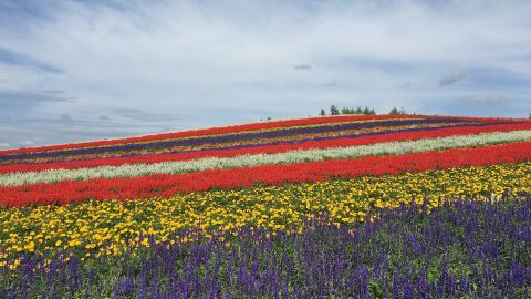 Hokkaido