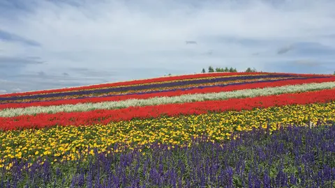 Hokkaido Hokkaido