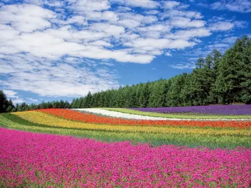 Hokkaido Hokkaido