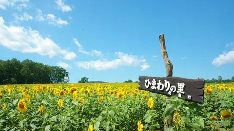 Hokuryu Hokuryu