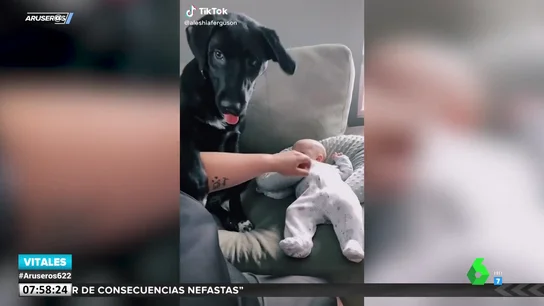 Un perro cuida tanto a un bebé que impide que se le acerque hasta la propia madre Un perro cuida tanto a un bebé que impide que se le acerque hasta la propia madre