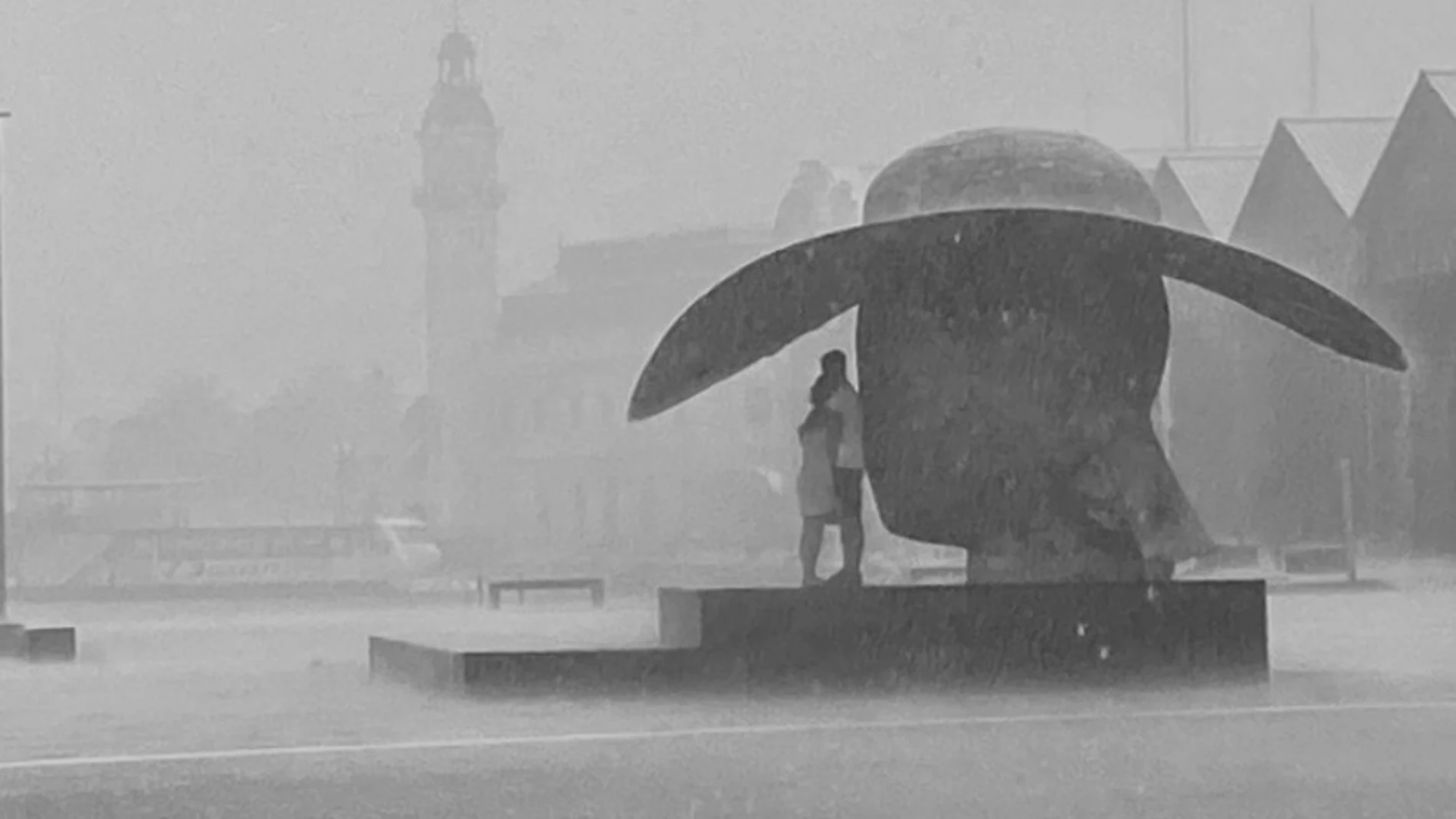 En busca de la pareja fotografiada en Valencia refugiados bajo una escultura en mitad de la tormenta 