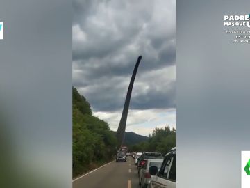 ¿Un diplodocus? La extraña aparición en una carretera de China