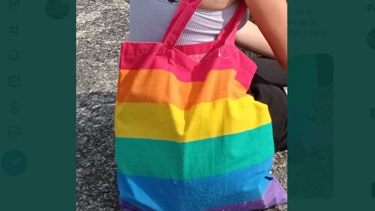 Un padre denuncia el acoso a su hija de 12 años por llevar una bolsa con los colores LGTBI en Vitoria Un padre denuncia el acoso a su hija de 12 años por llevar una bolsa con los colores LGTBI en Vitoria