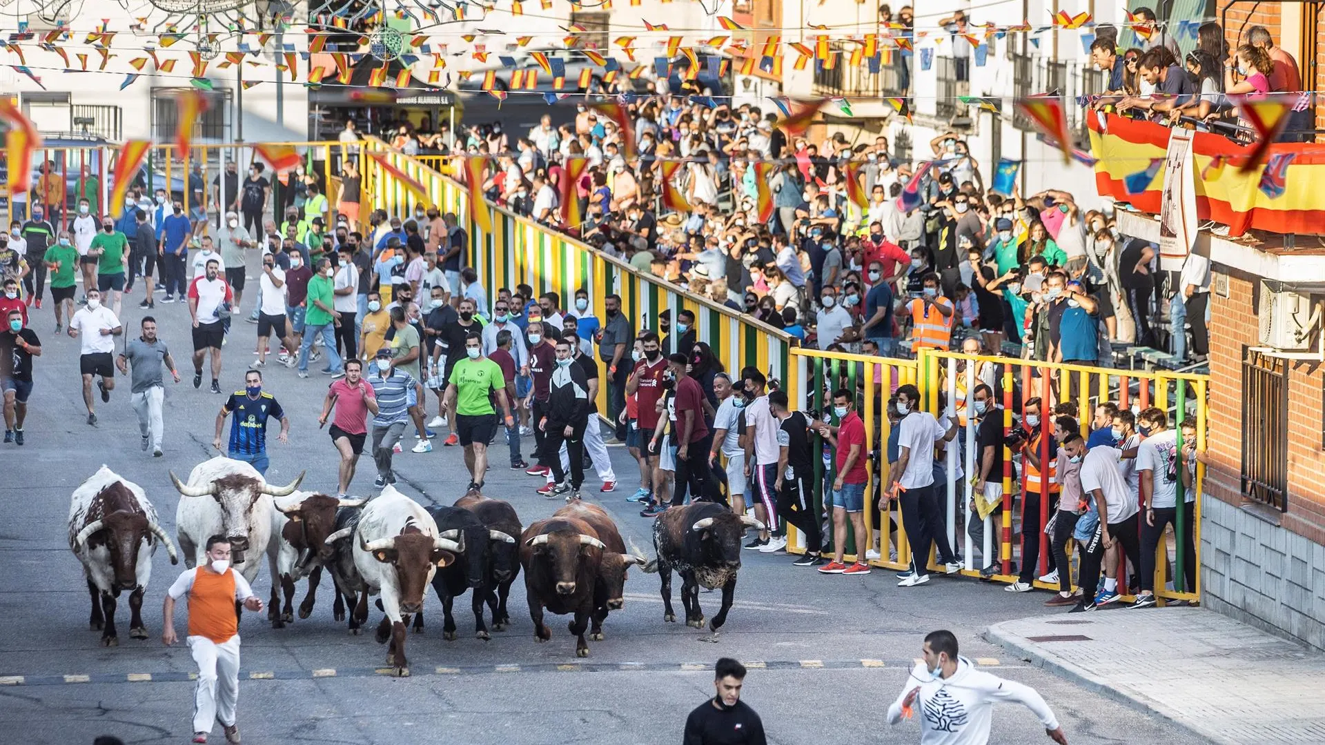 Vista del primer encierro de toros de la feria del Alfarero de Oro en la localidad toledana de Villaseca de la Sagra.