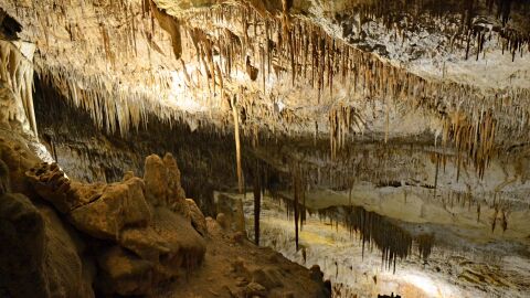 Cuevas del Drach