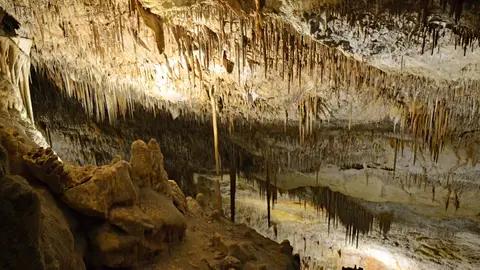 Cuevas del Drach Cuevas del Drach
