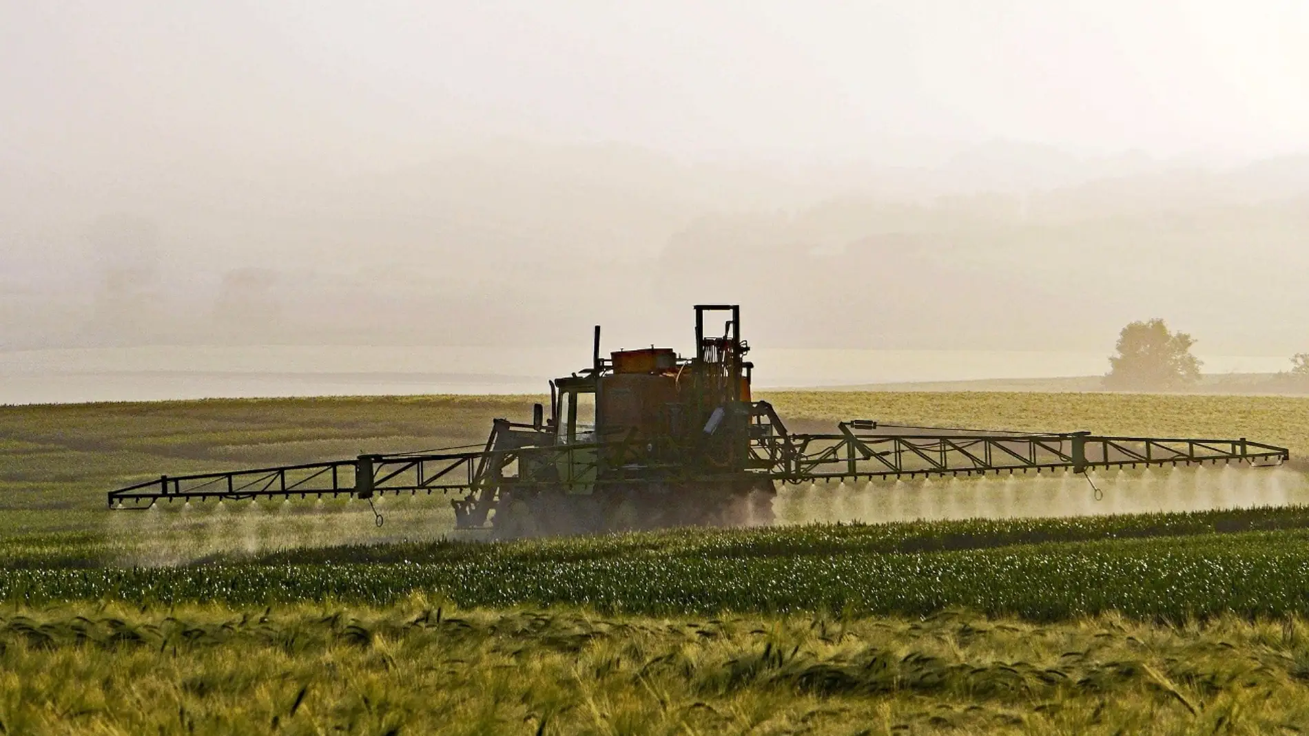 Descubren nuevas sustancias derivadas de los pesticidas con efectos nocivos para el medioambiente