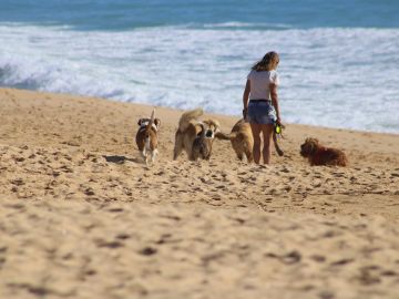 Playas caninas
