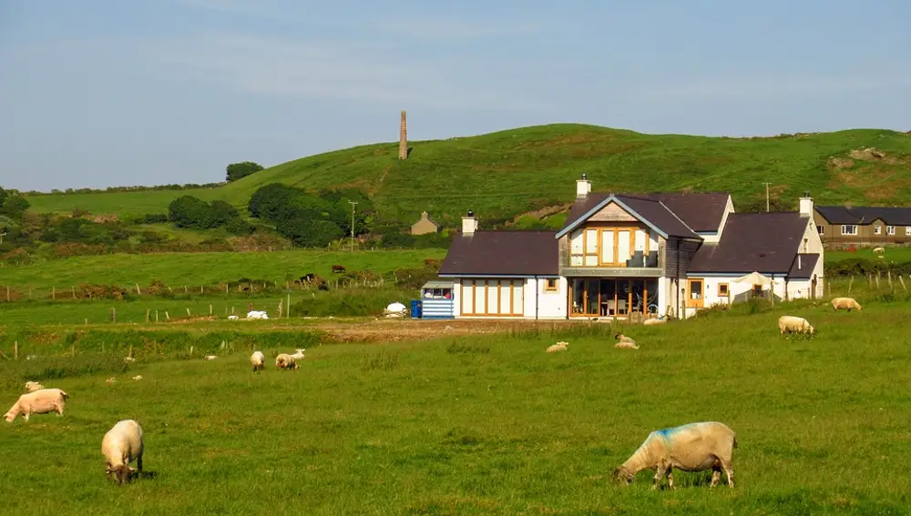 Granja de ovejas en Gales