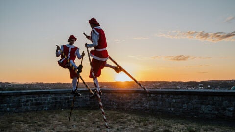 Zancudos en la Ciudadela de Namur