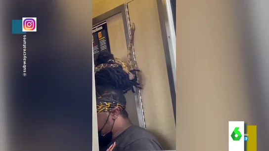 metro metro