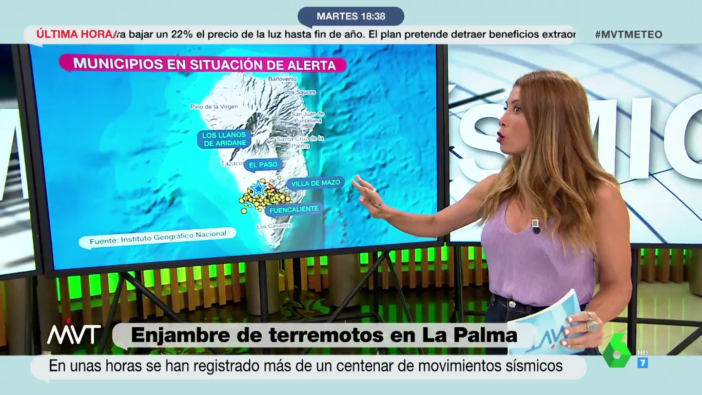 enjambre la palma enjambre la palma