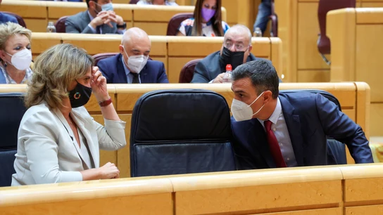 La ministra para la Transición Ecológica, Teresa Ribera, y Pedro Sánchez La ministra para la Transición Ecológica, Teresa Ribera, y Pedro Sánchez