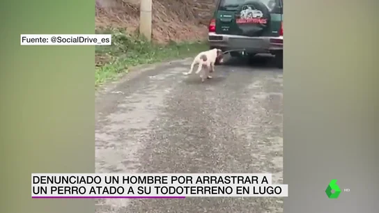 arrastra perro Lugo arrastra perro Lugo
