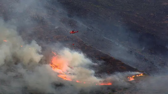 El incendio de Sierra Bermeja, Málaga El incendio de Sierra Bermeja, Málaga