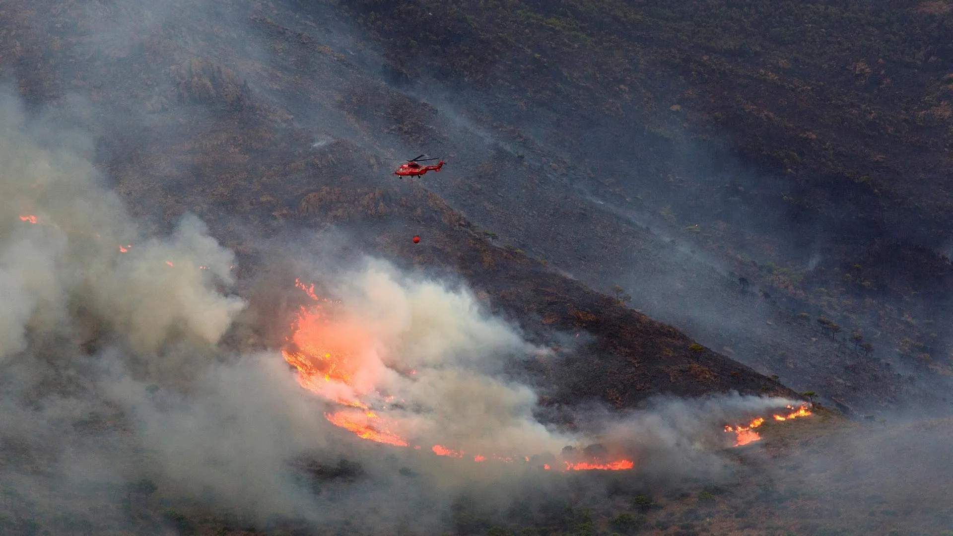 El incendio de Sierra Bermeja, Málaga