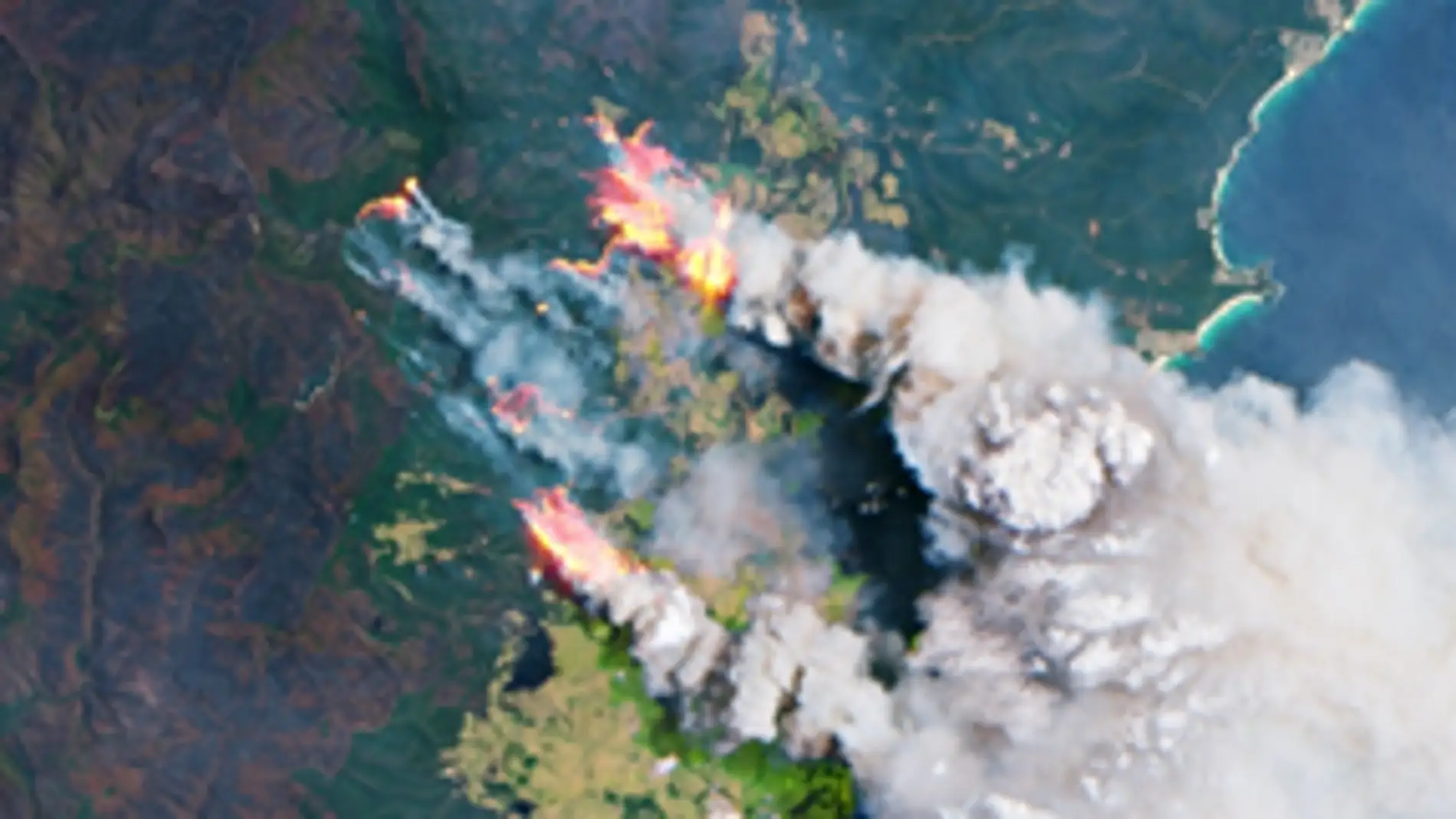 Las cenizas de incendios forestales en Australia fertilizaron el oceano Pacifico