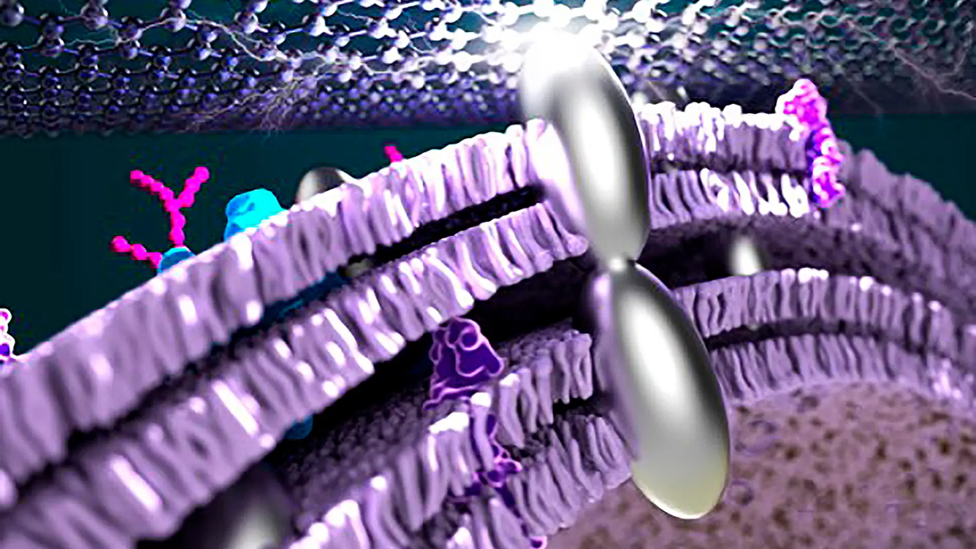 Pila de combustible microbiana con nanopartículas de plata