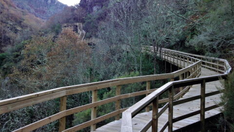 Pasarelas del río Mao 