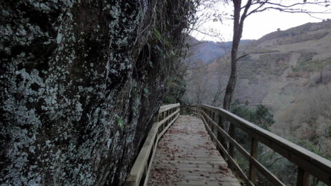 Pasarelas del río Mao