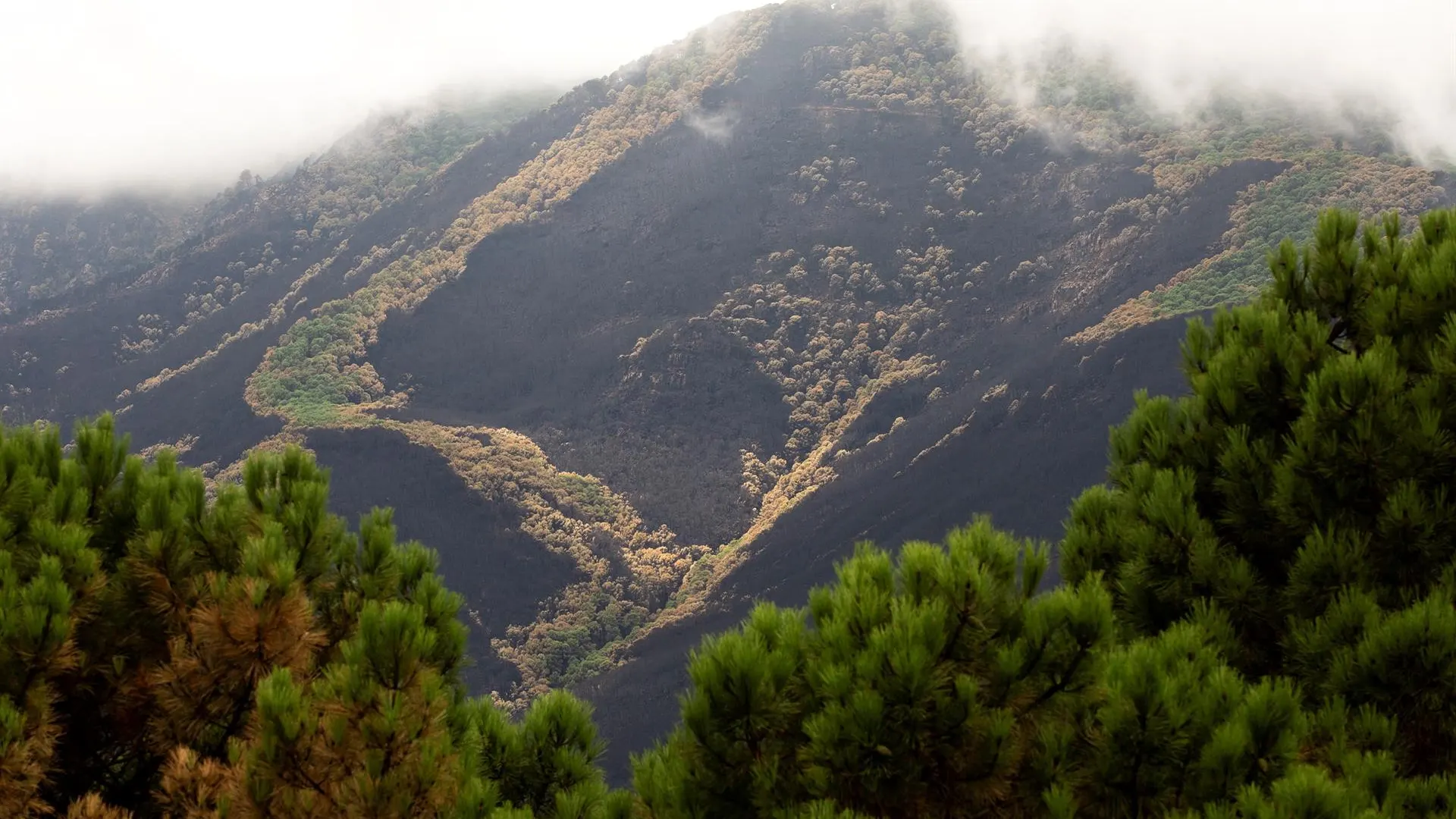 Sierra Bermeja, Málaga