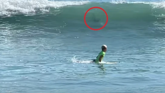 Tanner Brasol Tanner Brasol