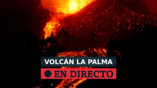 Evolución de la erupción del volcán de La Palma por Todoque y la llegada de la lava al mar, en directo Evolución de la erupción del volcán de La Palma por Todoque y la llegada de la lava al mar