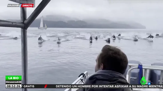 delfineseveyn delfineseveyn